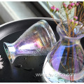 Modern Style Glass Transparent Vases